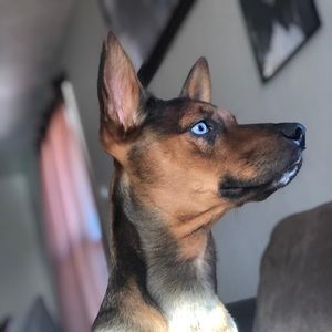 Meet your Posher, Sal